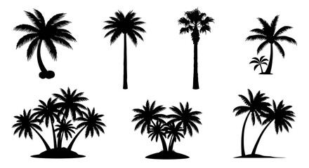 Obraz premium Tropical Palm Tree Silhouettes Vector Set for Travel, Summer Nature Designs