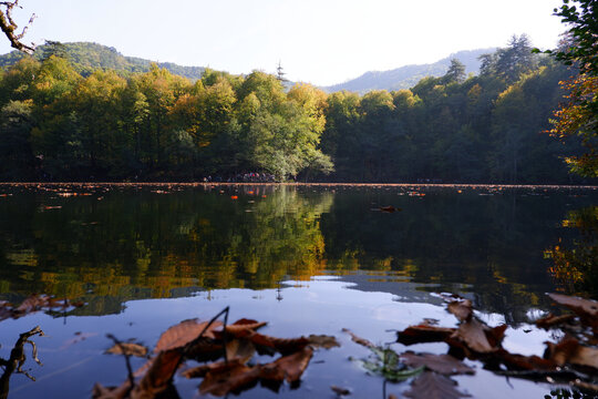 Serene Lake with Autumn Forest and Reflections