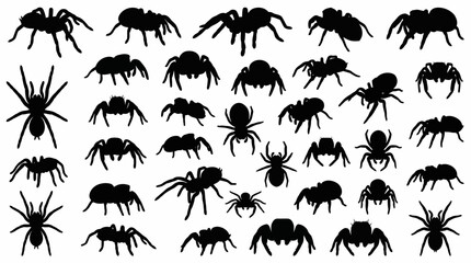 A collection of black spider silhouettes in various poses and sizes, creating a pattern on a white background. © Abhinaya Project