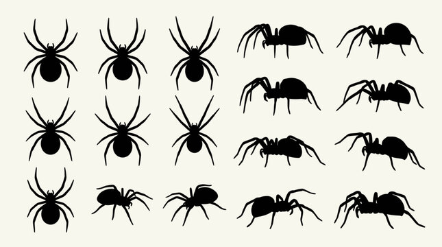 Collection of black spider silhouettes in various poses and angles, perfect for Halloween or nature-themed designs.