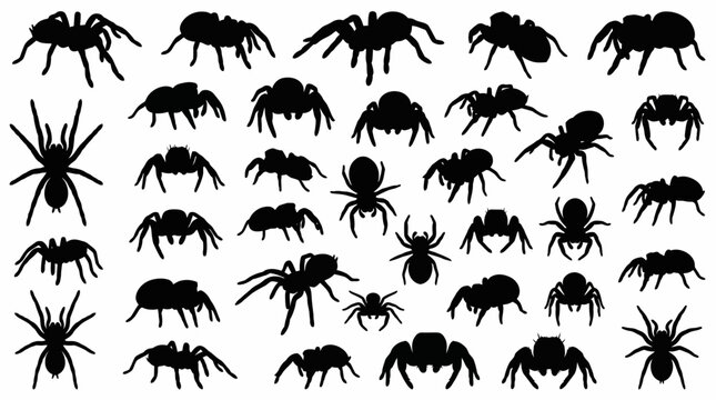 A collection of black spider silhouettes in various poses and sizes, creating a pattern on a white background.
