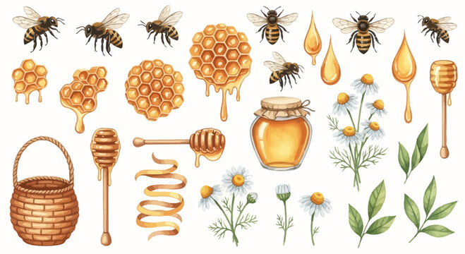 Watercolor illustration of honey related objects isolated on a white background
