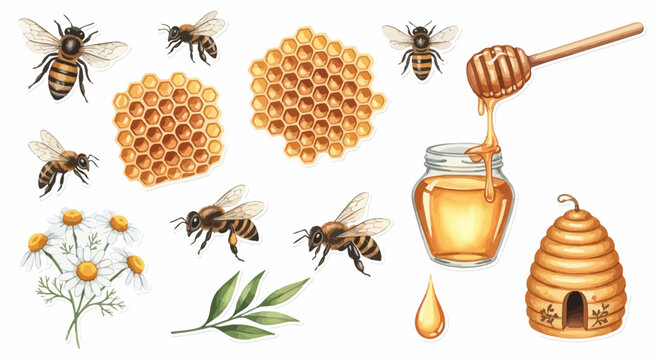 Watercolor illustration of honey bees honeycomb honey jar and flowers