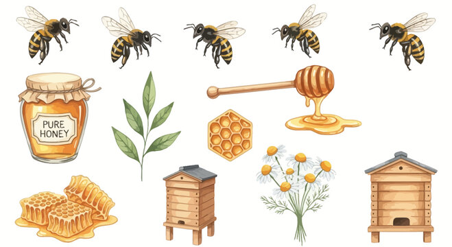 Watercolor illustration of honeybees honey jar and honeycomb elements