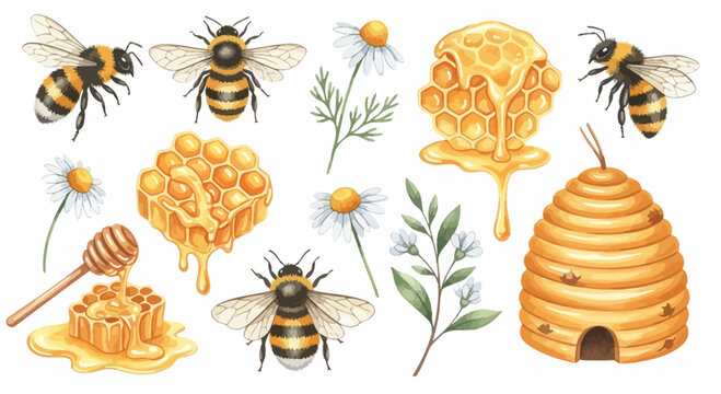 Watercolor illustration of honeybees honeycomb and flowers for design