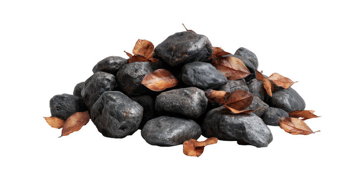 A pile of dark gray rocks nestled with fallen brown leaves, set against a black background