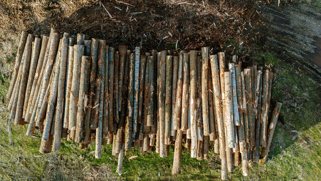 Aerial view of neatly stacked logs casting shadows on the grassy ground, creating a textured mosaic of light and dark, Sremska Mitrovica, Vojvodina, Serbia.