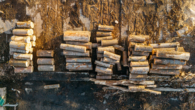 Aerial view of neatly stacked logs casting long shadows on the rough, textured ground, creating a stark contrast of light and shadow, Sremska Mitrovica, Vojvodina, Serbia.