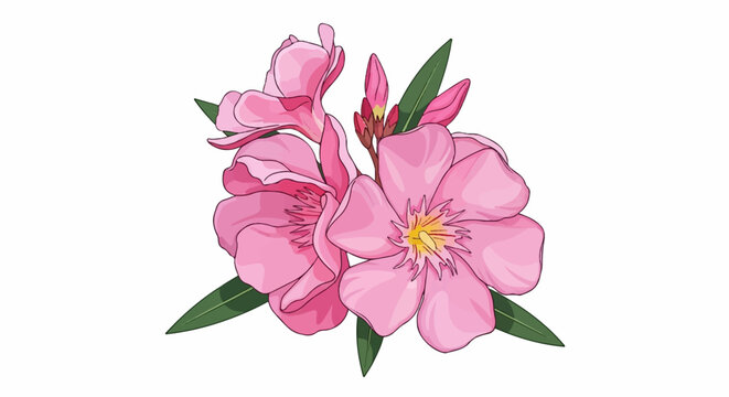 Artistic depiction of pink oleander flowers with green leaves