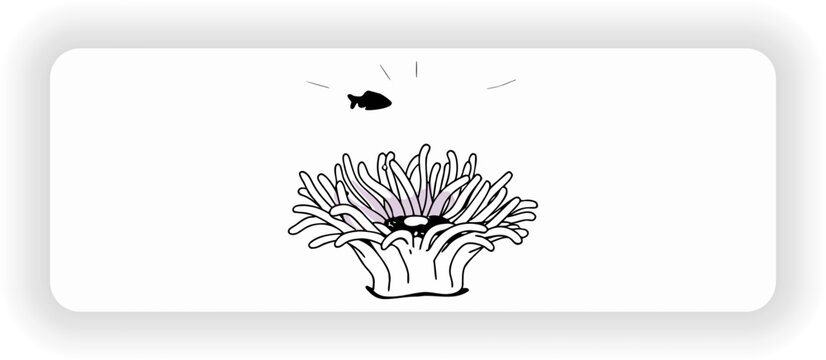 Hand drawn sea anemone with fish marine life vector illustration