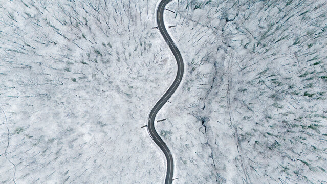 Aerial view of a winding road snakes through a snow-laden forest, a stark contrast of dark asphalt against the pristine white landscape, Rakovac, Vojvodina, Serbia.