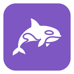 Naklejka premium Killer Whale Vector Icon