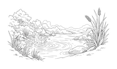 Fototapeta premium Lively water splash in a serene natural landscape with reeds and distant hills nature