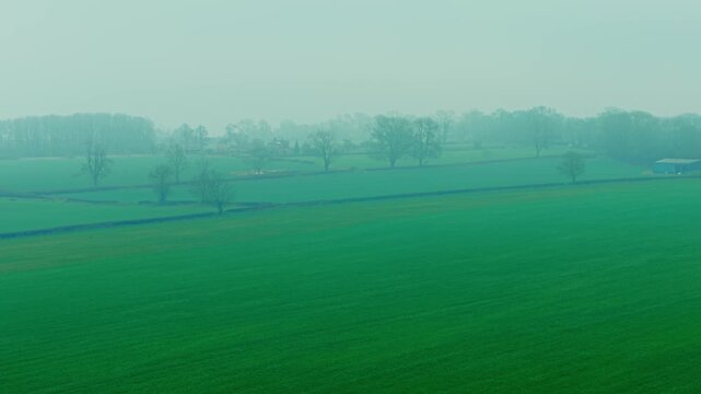 Misty rural pasture stretching across vast green countryside meadow. Dense fog covering agricultural landscape with distant farm buildings and tree rows creating quiet atmospheric mood. Wide pastoral