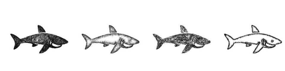 Fototapeta premium Sketch shark icon design set