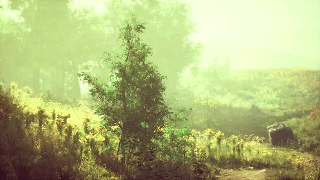 Young tree in flourishing surroundings. Fresh sapling amid verdant leaves and sunlight. Juvenile tree surrounded by thick vibrant greenery and sunshine
