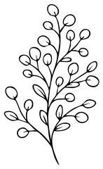 Obraz premium Minimalist Outline Drawing of a Delicate Eucalyptus Branch with Oval Leaves and Berries