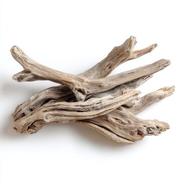 Driftwood pieces arranged on a white background, showcasing the natural shapes and textures found in wood