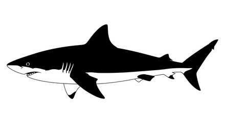 Obraz premium Black and White Silhouette of Shark.