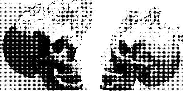 Fiery skull in flames with black and white halftone effect