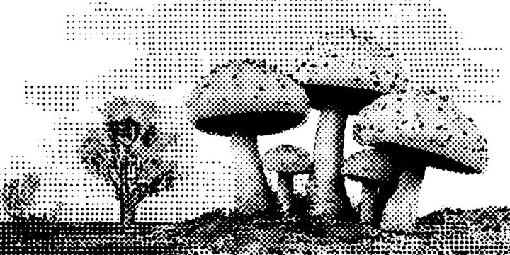 Black and white halftone forest mushrooms cluster illustration for vintage design