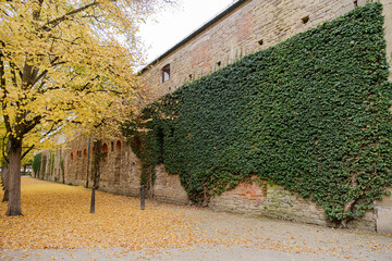 Fototapete bei efototapeten.de bestellen   