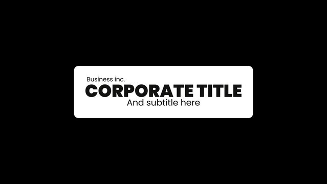 Corporate Business Title