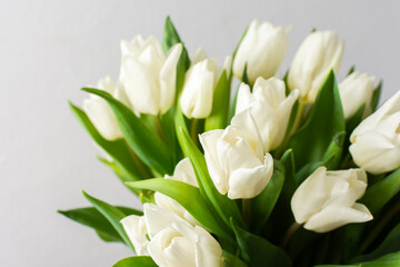Close-up of a beautiful spring bouquet with white tulips, showcasing the delicate petals and vibrant freshness, perfect for nature-inspired decor