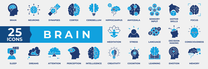 Brain icon set. Containing learning, mind, perception, intelligence, creativity, cognition, learning, emotion, memory and more. Simple flat blue vector Illustration. © RiskiAyu