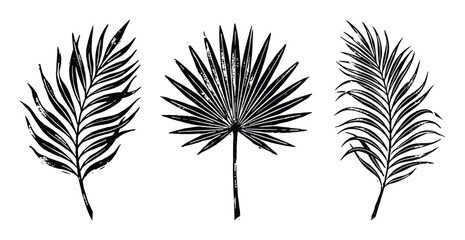 Fototapeta premium Set of tropical palm leaves, hand drawn silhouette style, isolated design elements