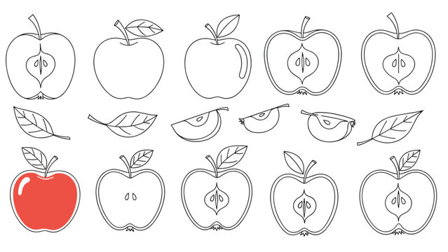 Line art collection of various apples, cross-sections, and slices featuring one colored red apple for visual emphasis and contrast.