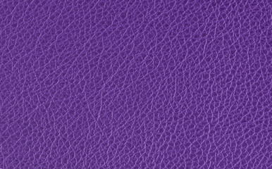Fototapeta premium Modern Purple Leather Texture Background Creative Style