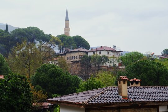 Old town landscape with a minaret and traditional houses