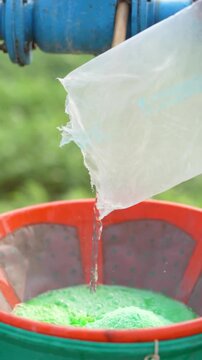 Farmer mixing water in pesticide or fertilizer powder at agriculture field 