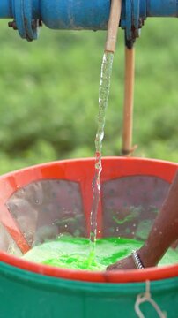 Farmer mixing water in pesticide or fertilizer powder at agriculture field 