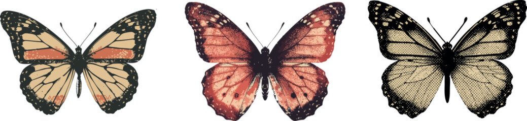 Butterfly illustration with halftone stipple effect for grunge punk Y2K collage design. Vector artwork with grainy photocopy texture and experimental dotted retro banner style © mesbahul