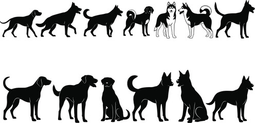 Dog silhouettes collection, Siberian husky illustrations, canine posture study, domestic pet breeds vector set, animal anatomy comparison, black silhouette dogs artwork © Ashraful