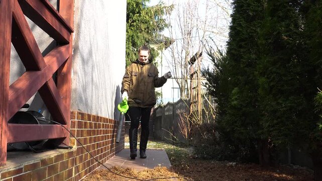 Spring gardening. Blowing out old needles from a thuja tree, gardening, a woman blowing yellow thuja leaves with a wind blower.