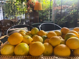 Lemons are placed on a tray in a dining space surrounded by plants. The atmosphere shows a blend of...