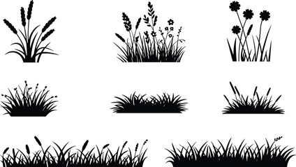 Wild grass and field flower silhouette collection, meadow herb plants border, nature lawn and garden landscape vector design © Al