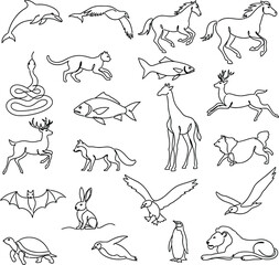 Obraz premium Collection of animals in single line drawing style