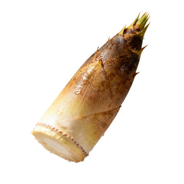 [Transparent Background PNG]Fresh bamboo shoot with brown outer skin and green tip