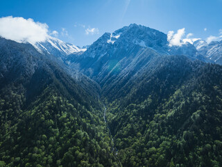 Obraz premium Aerial view of beautiful high altitude snow capped mountain and forest landscape