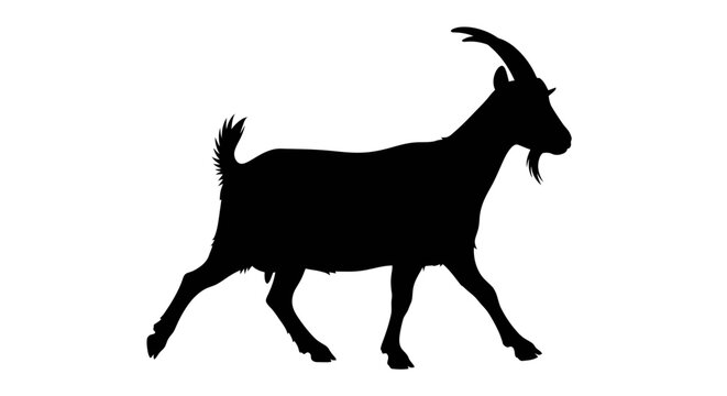 Silent Goat Silhouette Standing in White Studio. Vector Illustrations. EPS Editable
