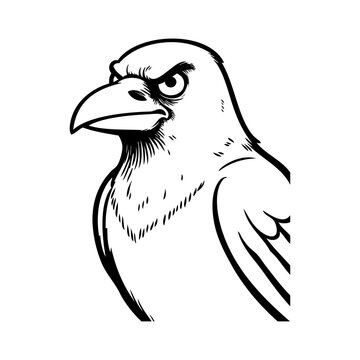 Dibujo sencillo con l&iacute;neas de la cabeza de un cuervo enojado visto de perfil	