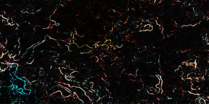 Abstract colorful shapes of veins, arteries, capillaries, and blood vessels are intertwined, presenting a complex network of life and movement.