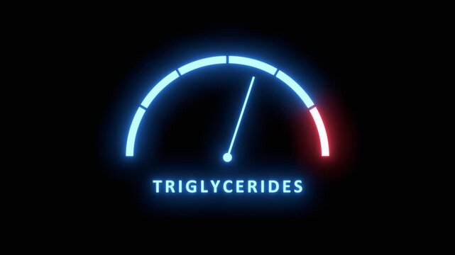 Triglycerides meter. Increasing and high levels, overload. Maximum triglycerides value, off the charts. Cholesterol management, heart health, and medical diagnostics. Risk meter animation.