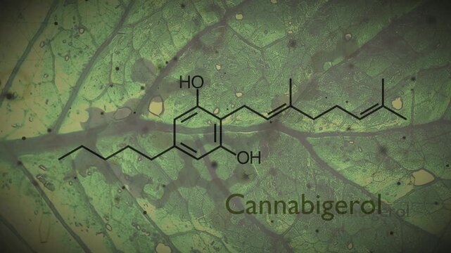 Cannabigerol or CBG molecular structural chemical formula. Futuristic science backdrop. Pharmacology concept