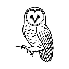 Dibujo sencillo con líneas de una lechuza  © teracreonte