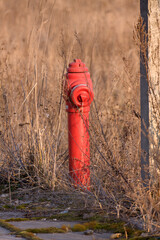 Hydrant © Kamil